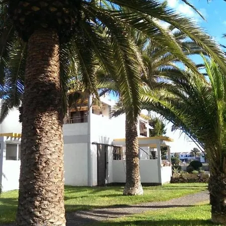 Papagayo ארונה