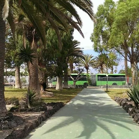 Papagayo アロナ